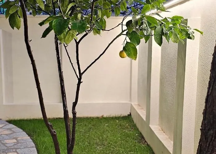 Apartmán Olive Garden Blue Tirana