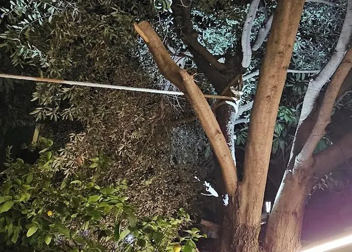 Olive Garden Blue Apartmán Tirana